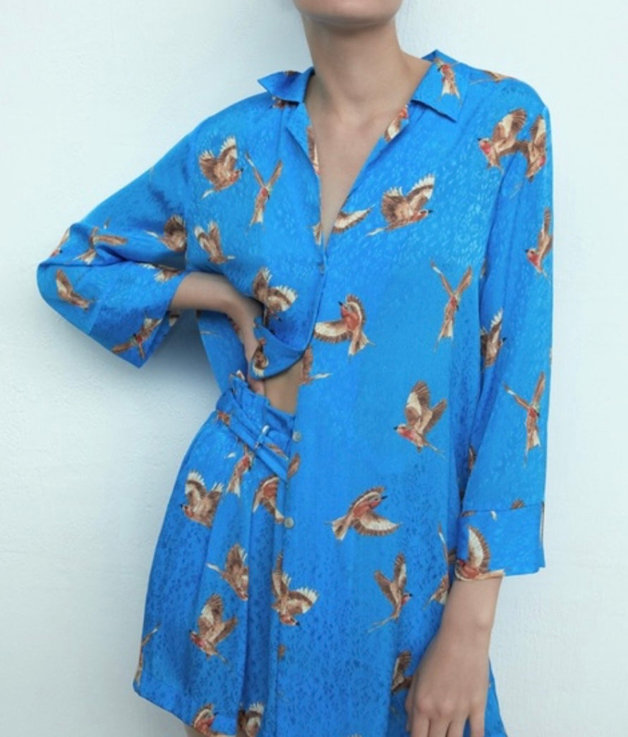 ZARA bird print set